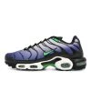 Nike Air Max Plus -PERFEKTES BEKLEIDUNGSGESCHÄFT DX4326 001 1