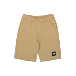 The North Face Summer Logo Short
