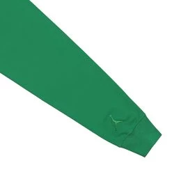 Air Jordan Wordmark Long Sleeve Shirt -PERFEKTES BEKLEIDUNGSGESCHÄFT fj0702 302 4